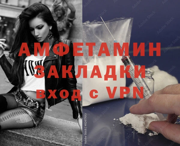 индика Инта