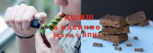 индика Инта