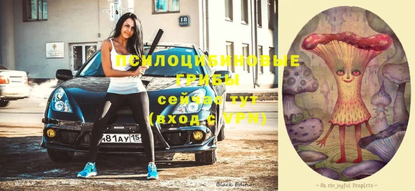 дмт Зерноград