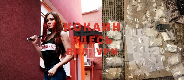 винт Инсар