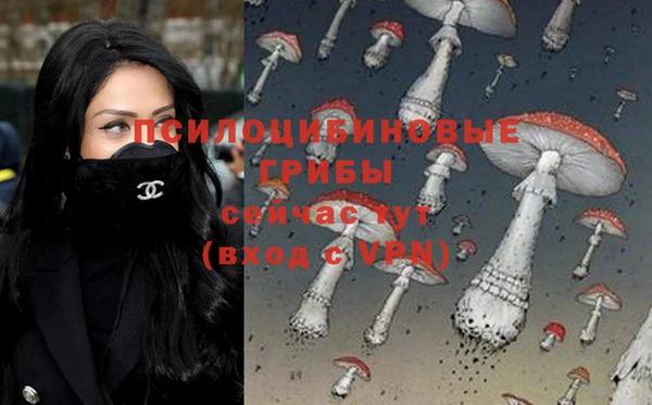 винт Инсар