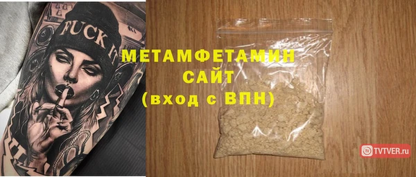 индика Инта